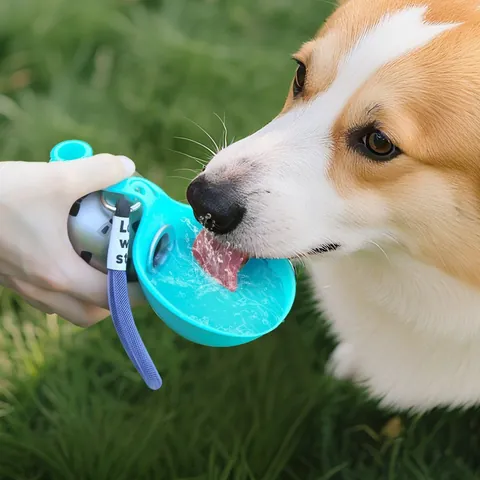 Draagbare 304 Roestvrijstalen Waterfles Voor Honden Katten Opvouwbare Siliconen Trog Reis Drinkbak Buiten Wandelen