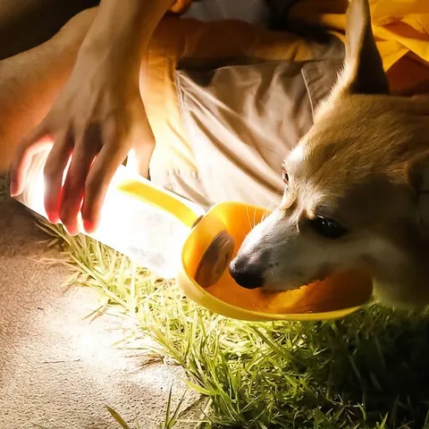 Portable Pet Water Bottle Silicone Foldable Leaf Dispenser For Dogs Outdoor Walking Travel LED Light Magnetic Charging