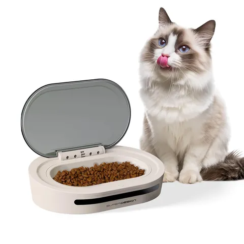 Smart Automatic Induction Pet Feeder Plastic ABS Infrared Motion Sensor Sealed Fresh-keeping Bowl For Cats Dogs Indoor Feeding