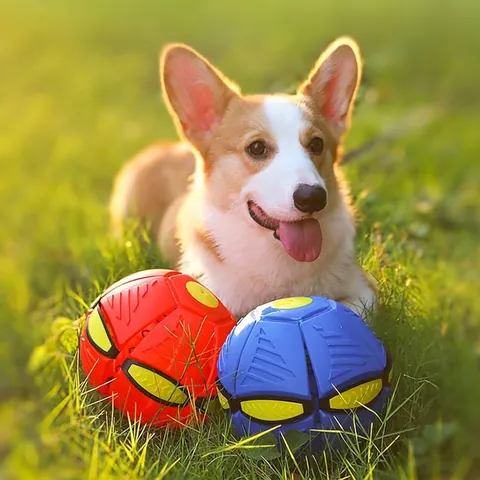 Jouet Pour Chien Transformable UFO Disque Volant Balle Élastique Jouet Interactif Résistant Aux Morsures Pour Chiens