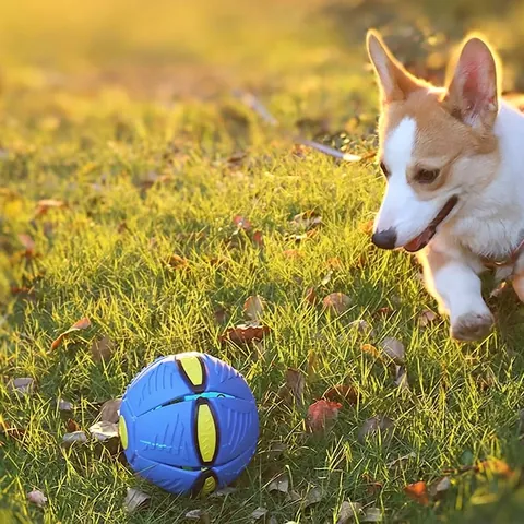 Jouet Pour Chien Transformable UFO Disque Volant Balle Élastique Jouet Interactif Résistant Aux Morsures Pour Chiens