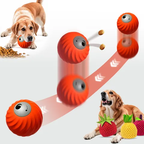 Friandises pour animaux