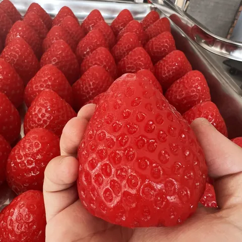 Jouet Squishy Fraise Réaliste Simulation en Silicone Jouet Anti-stress pour Enfants Adultes Décompression Sensorielle