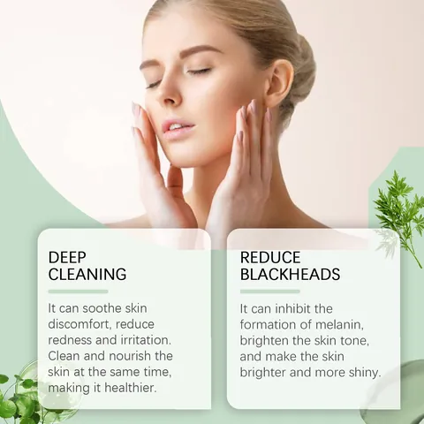 Stick Masque à l'Argile à l'Armoise Nettoyage en Profondeur Élimination des Points Noirs Pores Niacinamide Acide Salicylique