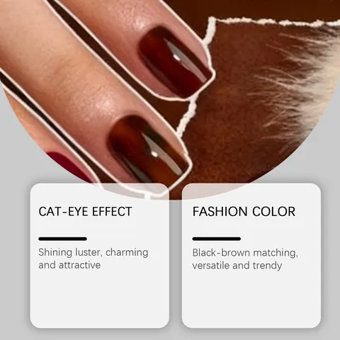 Nymixa Unghie a Pressione Occhio di Gatto Marrone Nero Kit Adesivi per Manicure Lucidi Naturali Con Accessori per Strumenti per Manicure per Decorazione Quotidiana Donna