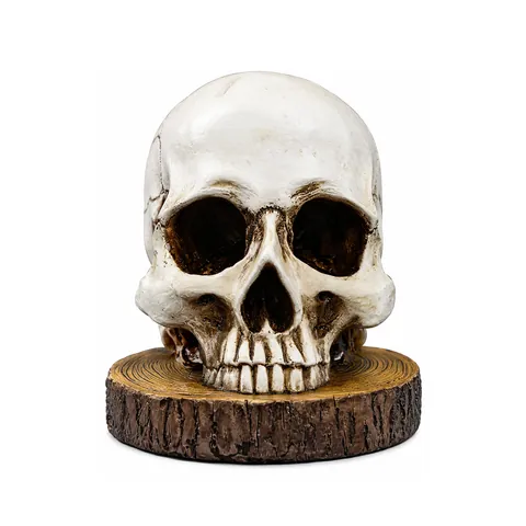 Kreatives Totenkopf Ornament aus Harz für Halloween Küchenregal Gotische Heimdekoration Figur Mit Holzmaserungsbasis Geschenk