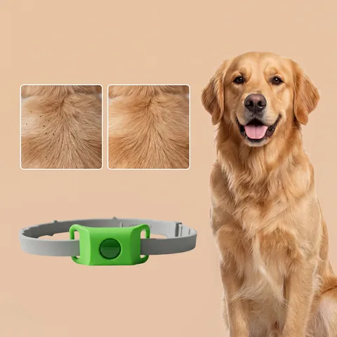 Collier Anti-Puces Et Anti-Tiques Pour Chien Réglable Imperméable Protection Parasites Avec Huiles Essentielles Naturelles Pour Chiens