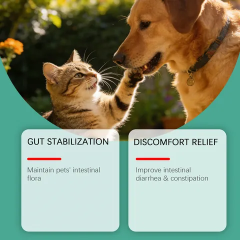 Pet Teeth Cleaning Powder For Dogs Cats Bacon Flavor Oral Care Supplement With Reishi For Fresh Breath