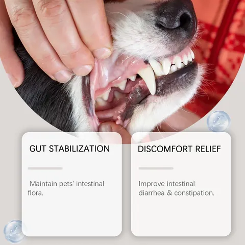 Kriath Dog Dental Care Powder Oral Probiotics Tooth Cleaning Supplement Natural Breath Freshener Gum Health Immunity Boost Pet Care