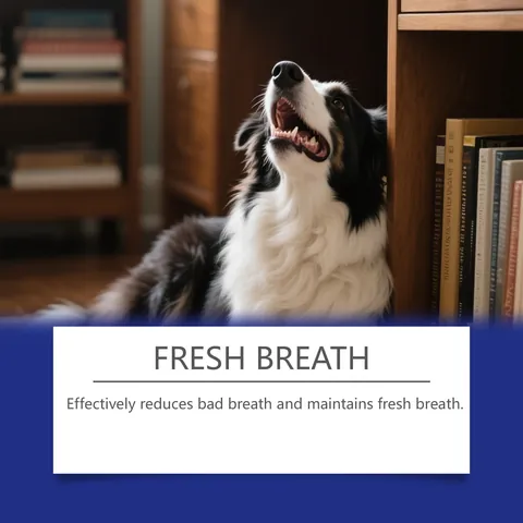 EELJOY Spray per la Cura Orale dei Pet per Cani e Gatti Estratto di Menta Rinfrescante per l'Alito Pulizia Denti Freschi Rimozione Placca Spray