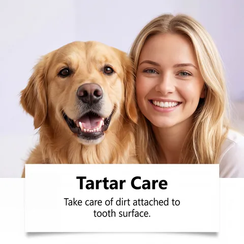 Spray Professionale per la Cura Orale degli Animali per Cani e Gatti Menta Alito Fresco Rimozione del Tartaro Pulizia Dentale Formula Delicata Prodotti per Animali