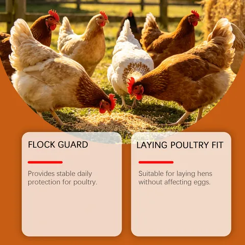 Kriath Chicken Digestive Aid Supplement Natural Chili Oregano Poultry Feed Additive For Gut Health And Nutrient Absorption