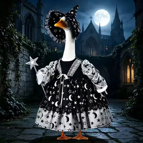Halloween Porch Gans Kleding Voor Tuin Werf Decor Heks Outfit Met Hoed Toverstaf Terug Naar School Stijl Gans Jurk Ornament
