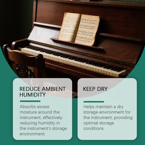 Desecante Universal para Instrumentos Musicales Absorbedor de Humedad para Guitarra Violín Piano Deshumidificador Profesional a Prueba de Humedad