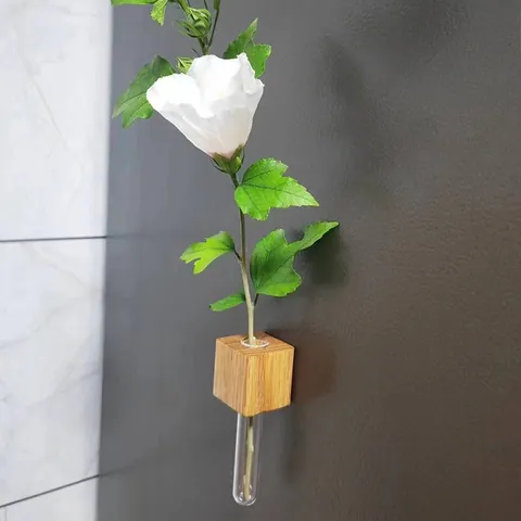 Minimalist Wood Glass Test Tube Vase Hydroponic Plant Holder Desktop Ornament Pastoral Style Beech Walnut Flower Vase