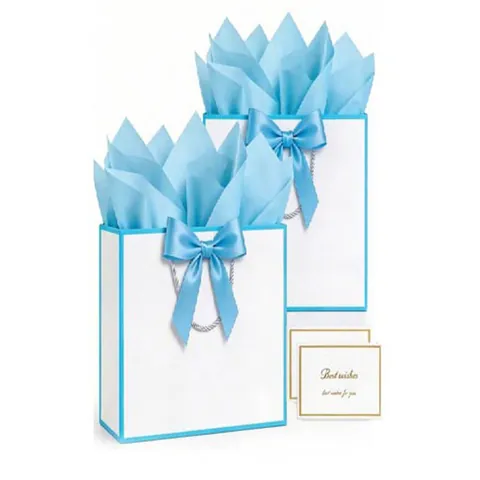 Elegant Gift Paper Bag with Ribbon Bow and Card Set for Birthday Wedding Party Packaging Shopping Tote Bag with Handle