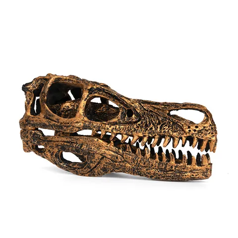Velociraptor Dinosaur Skull Model Resin Fossil Skeleton Ornament Vintage Bronze Science Education Sample Home Office Decor