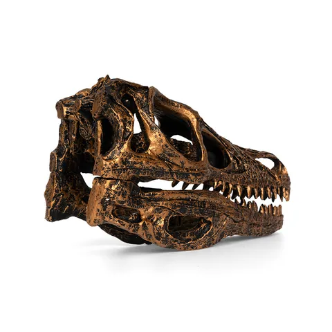 Velociraptor Dinosaur Skull Model Resin Fossil Skeleton Ornament Vintage Bronze Science Education Sample Home Office Decor