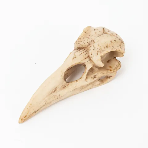 Gothic Realistic Resin Crow Skull Figurine Bird Skull Statue Mask Pendant For Halloween Home Decor Vintage Raven Bone Ornament