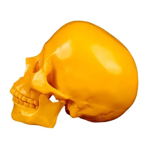 Realistic Resin Human Skull Model Halloween Party Bar Decoration Ornament Medical Teaching Simulation Skull Figurine