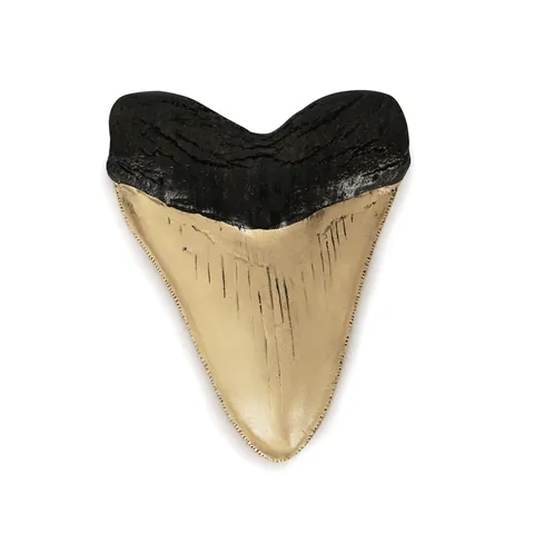 Replica Fossile di Dente di Squalo Megalodonte Retro Ornamento in Resina Decorazione da Tavolo Casa Ufficio Artigianato