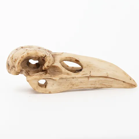 Gothic Realistic Resin Crow Skull Figurine Bird Skull Statue Mask Pendant For Halloween Home Decor Vintage Raven Bone Ornament