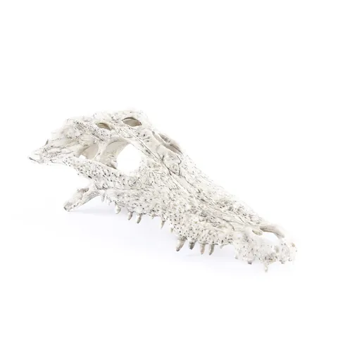 Realistisches Simuliertes Krokodil Schädel Aquarium Ornament Harz Handwerk Aquarium Landschaftsbau Halloween Dekor Versteck Höhle