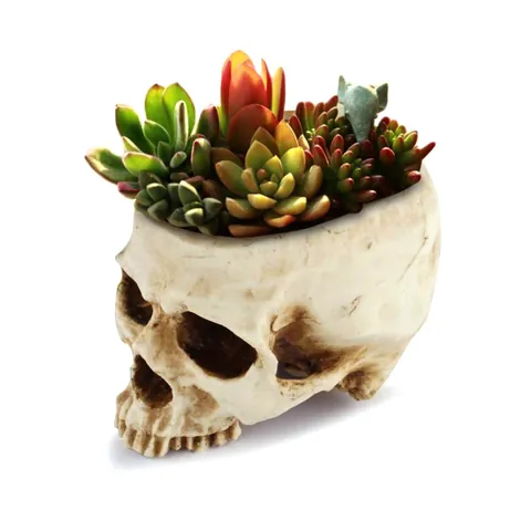 Figurine de Crâne Réaliste en Résine pour Décoration Halloween Squelette Humain Vieilli Accessoire de Cinéma Ornement Maison