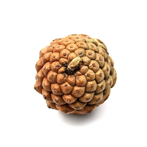 Natural Dried Pine Cones For DIY Christmas Tree Decor Photography Props Rustic Brown Wood Pinecone Hanging Ornaments