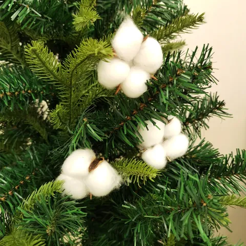 Têtes de Fleurs de Coton Séchées Naturelles Artisanat DIY Décoration de Maison Accessoires de Photographie Avec Tiges en Fil de Fer