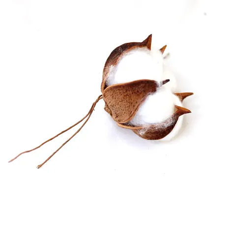 Têtes de Coton Séchées Naturelles pour Bricolage Têtes de Fleurs de Kapok à Tête Unique pour Décoration de Noël Accessoires Photo