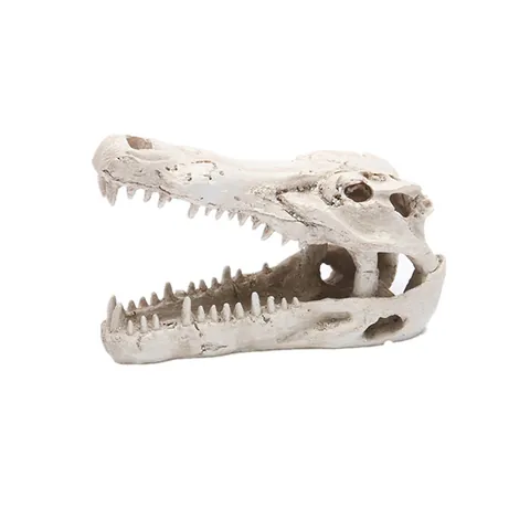 Realistischer Krokodilschädel Harz Aquarium Ornament Fischbecken Dekoration Reptilien Versteckhöhle Simulation Tierknochen Haustierbedarf