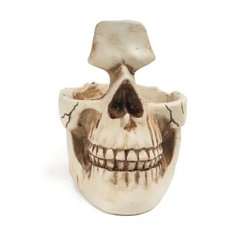 Skull Eyeglasses Holder Resin Skull Statue Eyewear Stand Creative Keys Holder Tray Desk Decor Gothic Figurine Ornament
