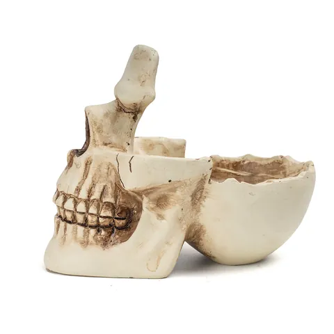 Skull Eyeglasses Holder Resin Skull Statue Eyewear Stand Creative Keys Holder Tray Desk Decor Gothic Figurine Ornament