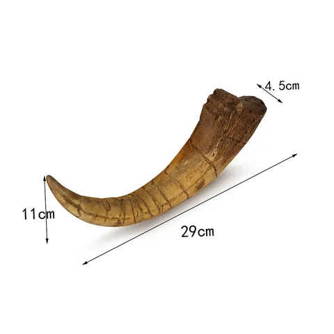 Realistic Resin Monolophosaurus Dinosaur Claw Skeleton Fossil Model Halloween Prank Prop Home Desk Decoration Ornament