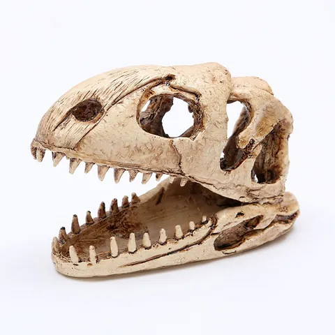 Harz Dinosaurier Schädel Aquarium Ornament Aquarium Fossil Versteck Höhle Unterschlupf Landschaftsbau Dekoration Für Fische