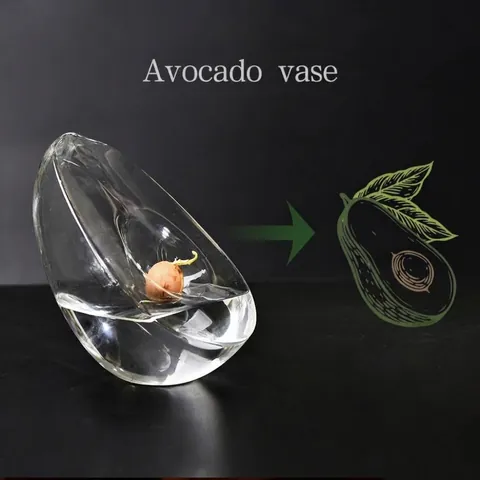 Avocado Seed Starter Vase High Borosilicate Glass Hydroponic Planter Avocado Growing Kit Clear Glass Decorative Vase Home Decor