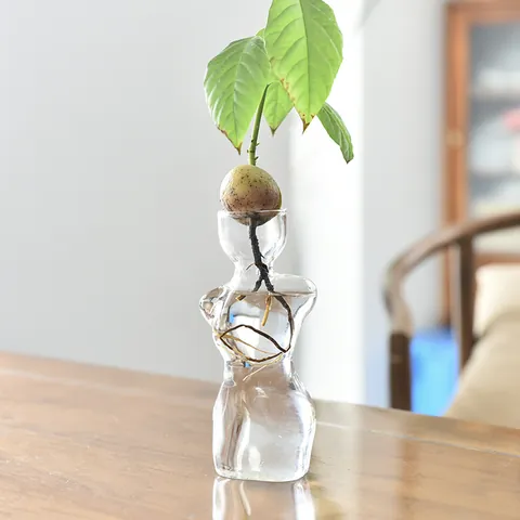 Minimalist Human Body Art Torso Glass Vase Transparent High Borosilicate Hydroponic Vase for Avocado Seeds Desktop Decorative Vases