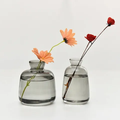 Nordic Ins Glass Vase Minimalist Creative Big Belly Bottle For Hydroponic Flowers Aromatherapy Home Decor Desktop Ornament