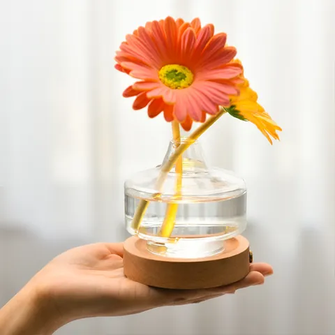 Ins Style Glass Vase Night Light With Solid Wood Base USB Rechargeable Bedside Lamp For Bedroom Living Room Table Decor