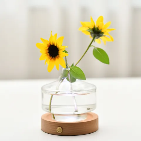 Ins Style Glass Vase Night Light With Solid Wood Base USB Rechargeable Bedside Lamp For Bedroom Living Room Table Decor