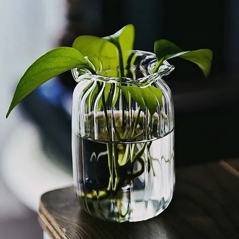 Modern Minimalist Transparent High Borosilicate Glass Vase Desktop Hydroponic Flower Arrangement Decorative Ornament For Home Office
