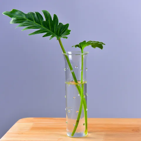 Nordische Minimalistische Transparente Borosilikatglas Vase Handgefertigte Desktop Hydrokultur Blumenbehälter Tischdeko Vase