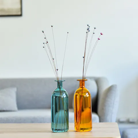 Modern Borosilicate Glass Vase Minimalist Ins Style Colorful Hydroponic Flower Container Desktop Aromatherapy Bottle Ornament