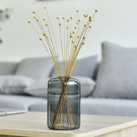 Creative Ins Smoky Gray Glass Vase Modern Minimalist Desktop Aromatherapy Bottle Hydroponic Flower Vase Home Decor Ornament