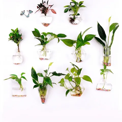 Creative Wall Mounted Glass Vase Transparent Hanging Terrarium Planter For Hydroponic Plant Fish Tank Home Decor Ornament