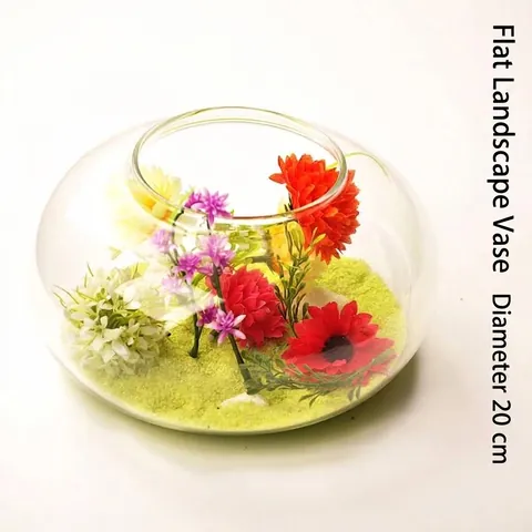 European Creative Transparent Borosilicate Glass Flat Landscape Vase Hydroponic Flower Container Blown Polished Craft For Home Decor