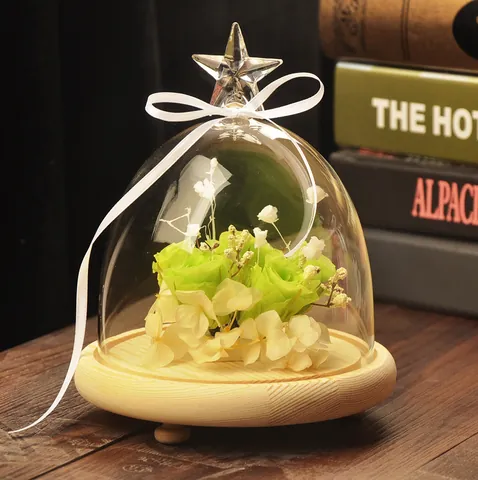 Star Top High Borosilicate Glass Dome With Wooden Base Creative Landscape Jar For Home Office Gift Decoration