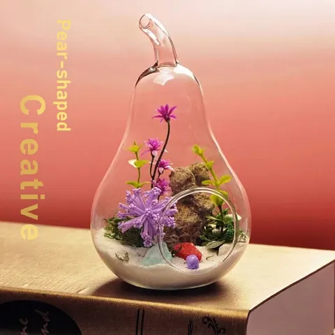 Creative Transparent Borosilicate Glass Vase Pear Apple Shape Micro Landscape Terrarium For Home Office Decor Ornament
