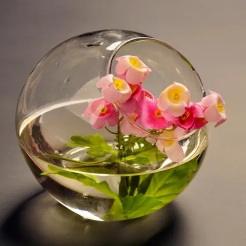 Schräge Öffnung Glasvase Kreativer Transparenter Hydrokultur-Blumentopf Modernes Rundes Aquarium Heimbüro Schreibtisch Dekorative Glasornament